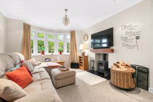 Photo 21- click for photo gallery